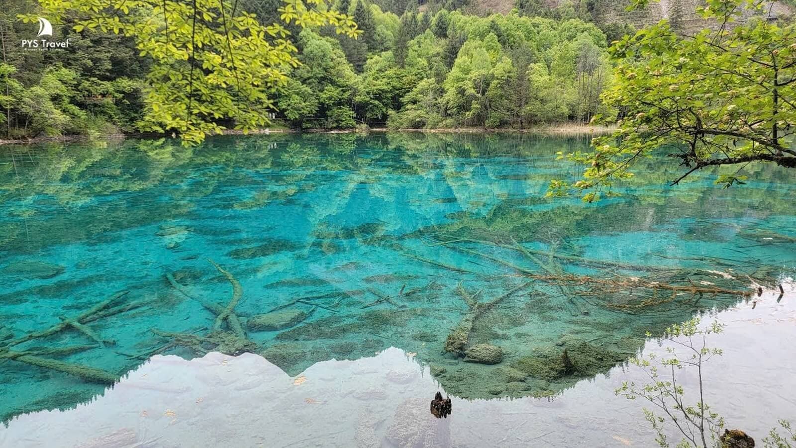 ngắm nhìn cửu trại câu