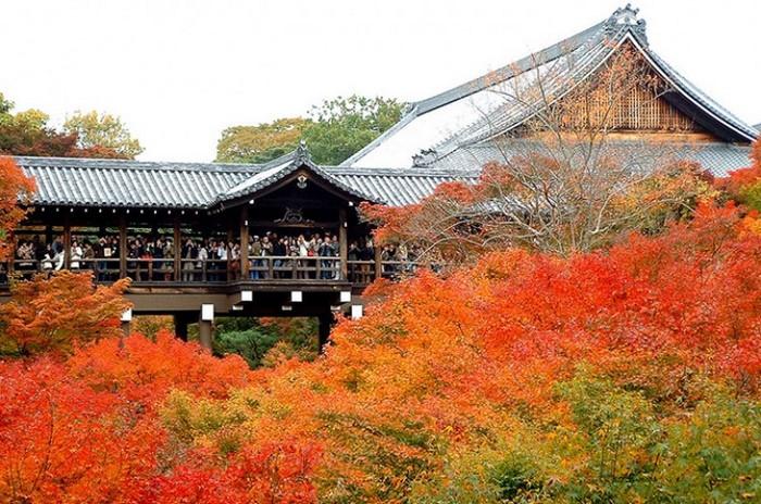 cố đô kyoto