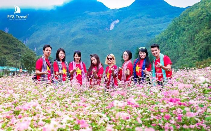 Dịp Tết Dương lịch là lúc những cánh đồng hoa tam giác mạch tại Hà Giang khoe sắc