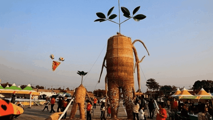Lễ hội Nhân Sâm Geumsan