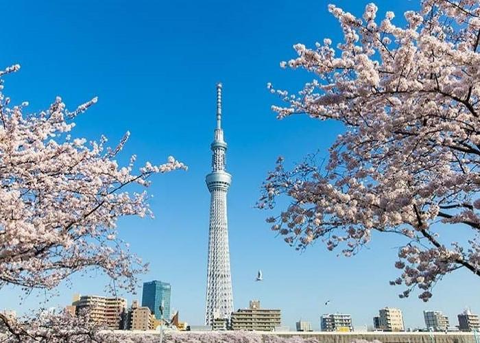 tháp tokyo skytree