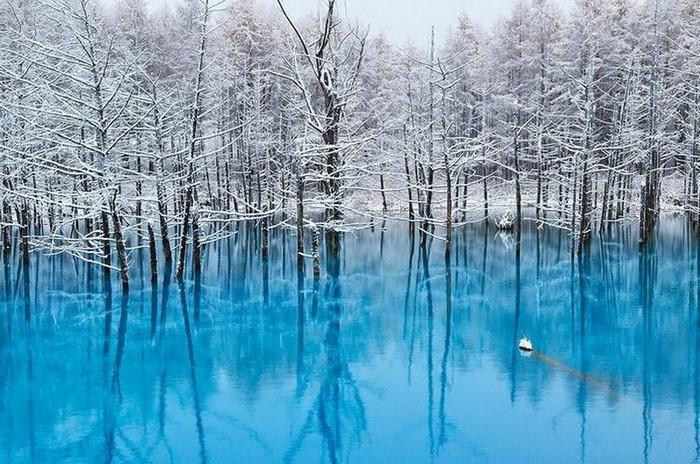 Hồ Biei ở Hokkaido