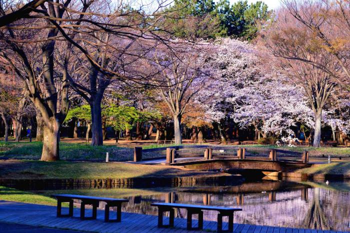 Công viên Yoyogi