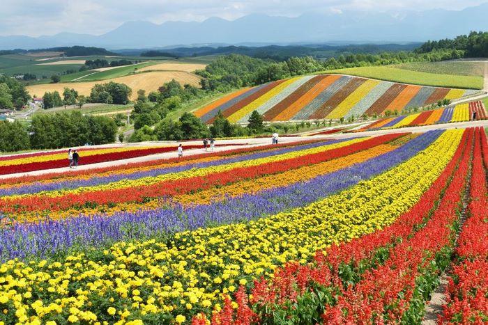 Thời điểm lý tưởng để du lịch Hokkaido