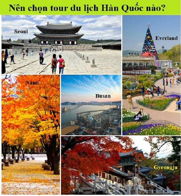 có nhiều lựa chọn tour