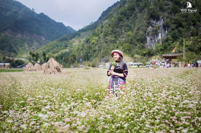 làng văn hóa lũng cẩm