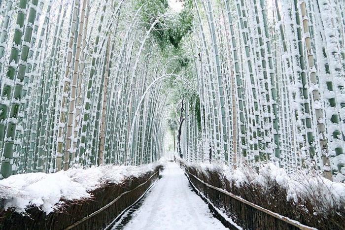 Du lịch Kyoto