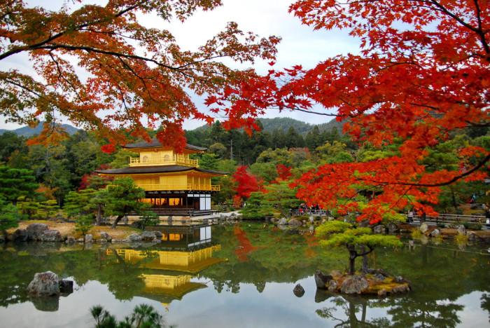 Chùa vàng Kinkaku-ji  ẩn mình trong sắc thu