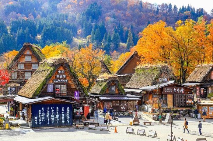  Làng Shirakawago khoác trên mình chiếc áo màu vàng