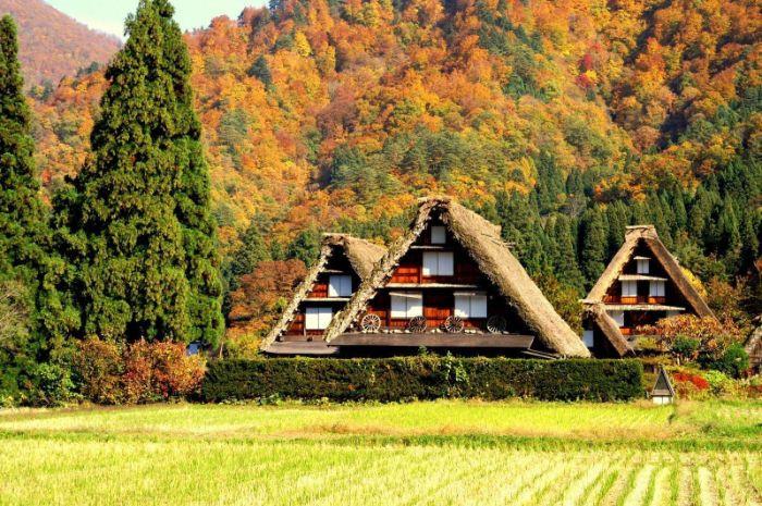 Làng Shirakawago