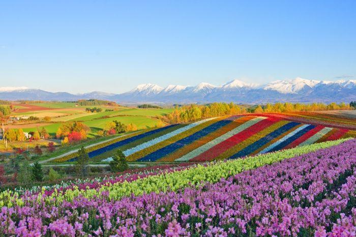 Hokkaido là điểm đến lý tưởng