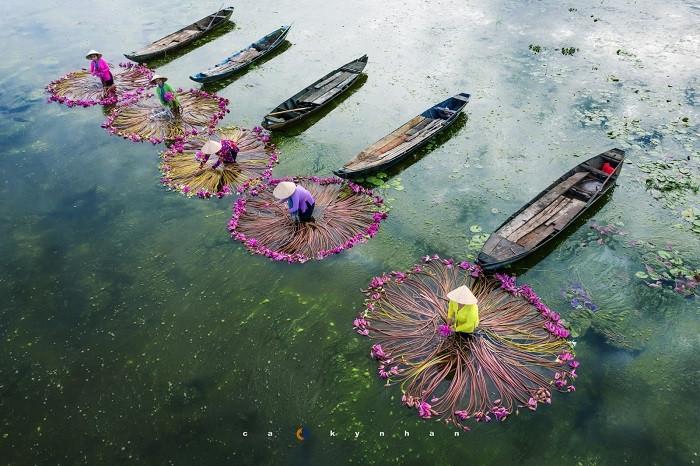 khung cảnh tại an giang