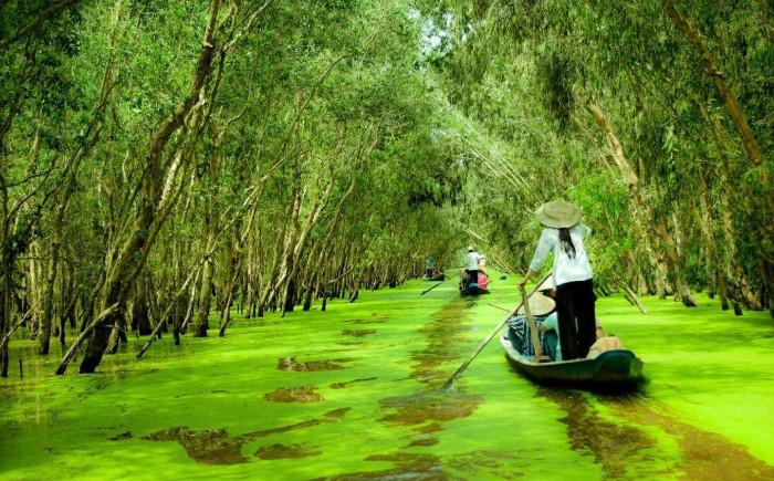 Khám phá thiên nhiên tươi đẹp