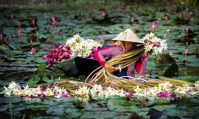  Tour du lịch làng nghề