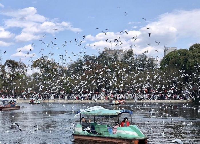 đi thuyền trên hô
