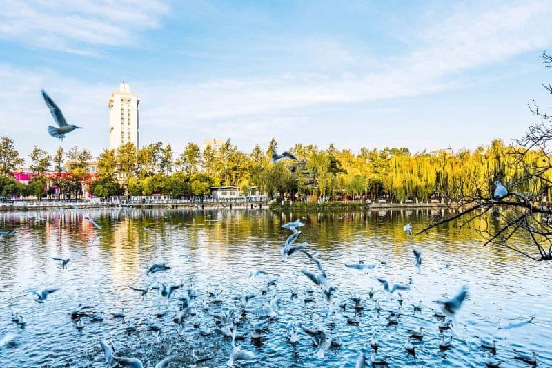 công viên thúy hồ