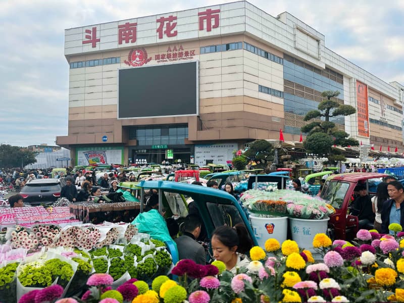Chợ Hoa Đấu Nam
