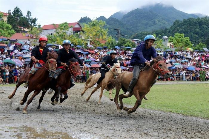 lễ hội đua ngựa Bắc Hà