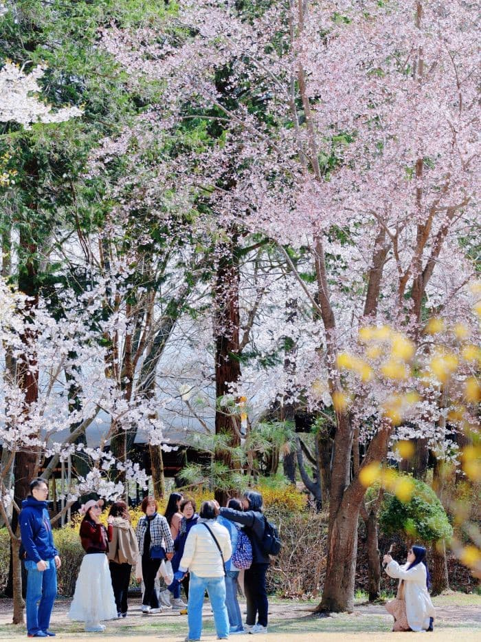 du lịch đảo nami, Tour Hàn Quốc: Seoul - Nami - Namsan Hanok - Korean Folk Village 
