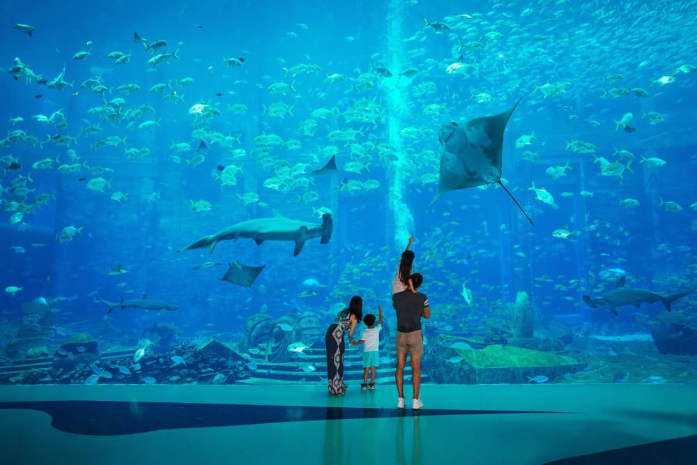trải nghiệm tham quan thủy cung atlantis