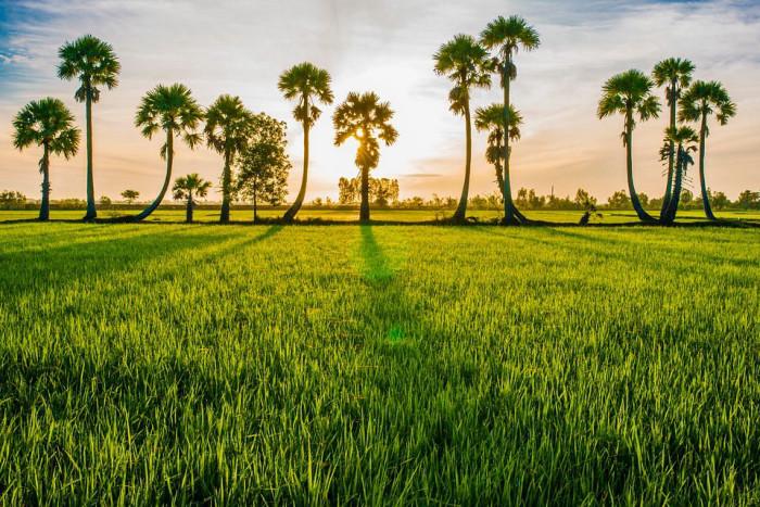 du lịch an giang