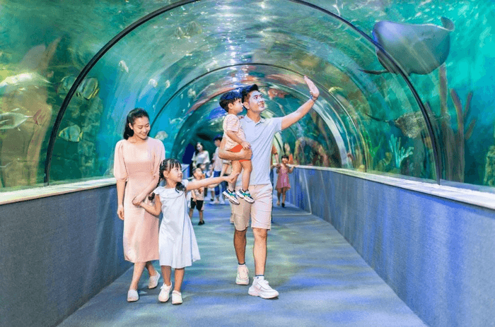 du lịch thiên đường bảo sơn