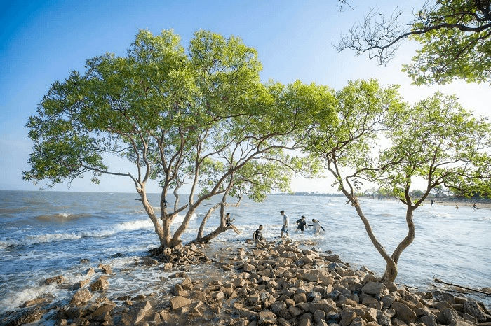 biển Tân Thành