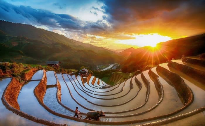 Mù Cang Chải mùa nước đổ