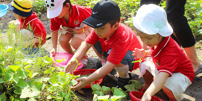 family garden