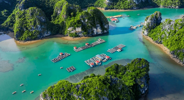 vịnh Bái Tử Long