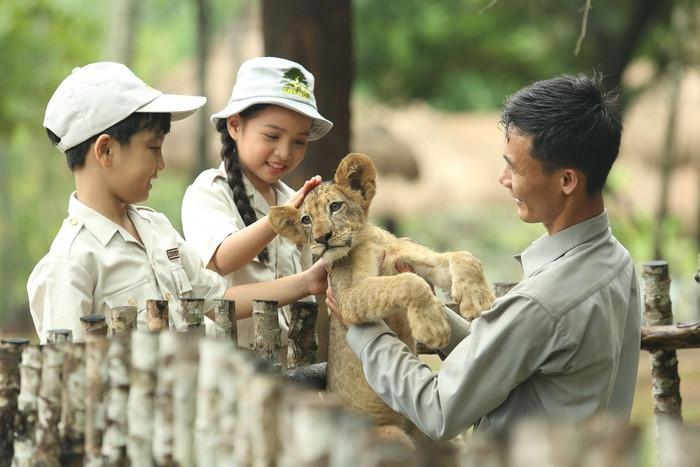 Cùng trẻ khám phá thế giới hoang dã tại Vinpearl Safari