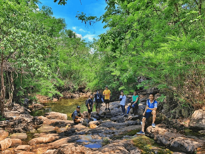 suối trúc