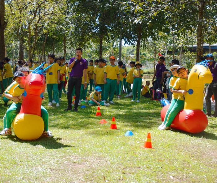 Tham quan, dã ngoại, tổ chức team building ở Suối Mơ