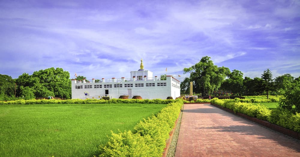 khu vườn Hòa Bình