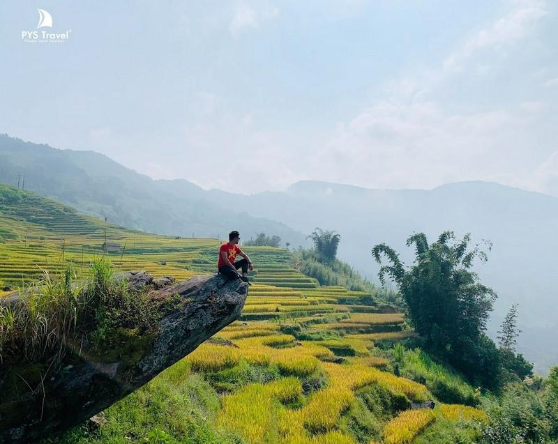 Ngải Thầu