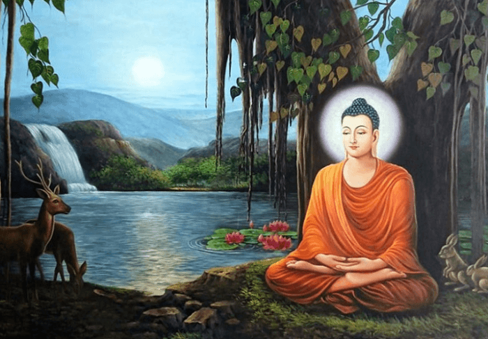 Đức Phật đã tu luyện 7 ngày 7 đêm dưới gốc cây bồ đề