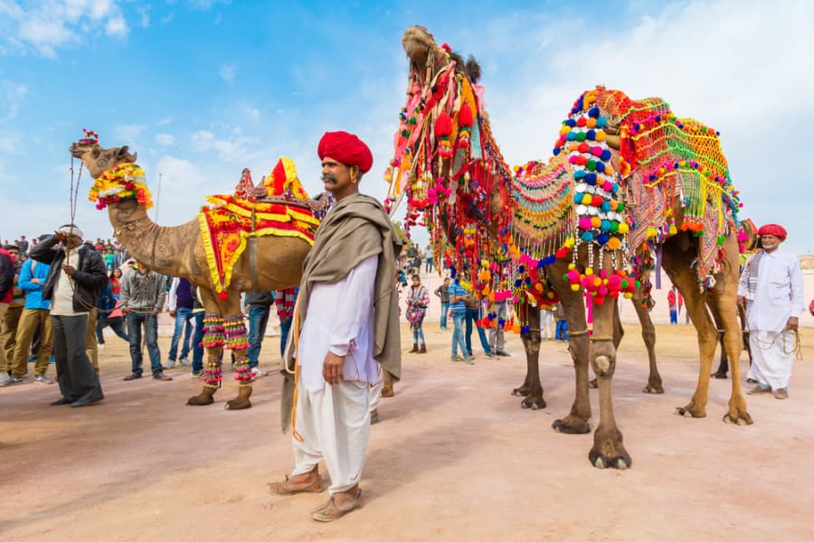 Cuộc đua lạc đà tại Rajasthan