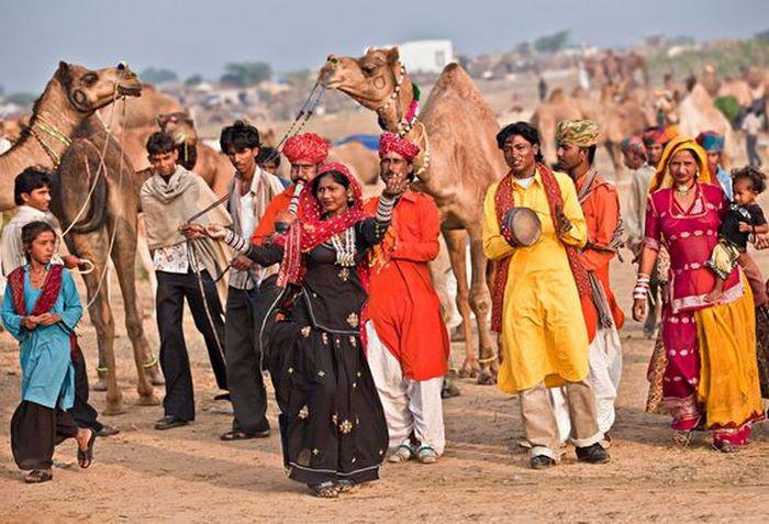 hội chợ lạc đà Pushkar