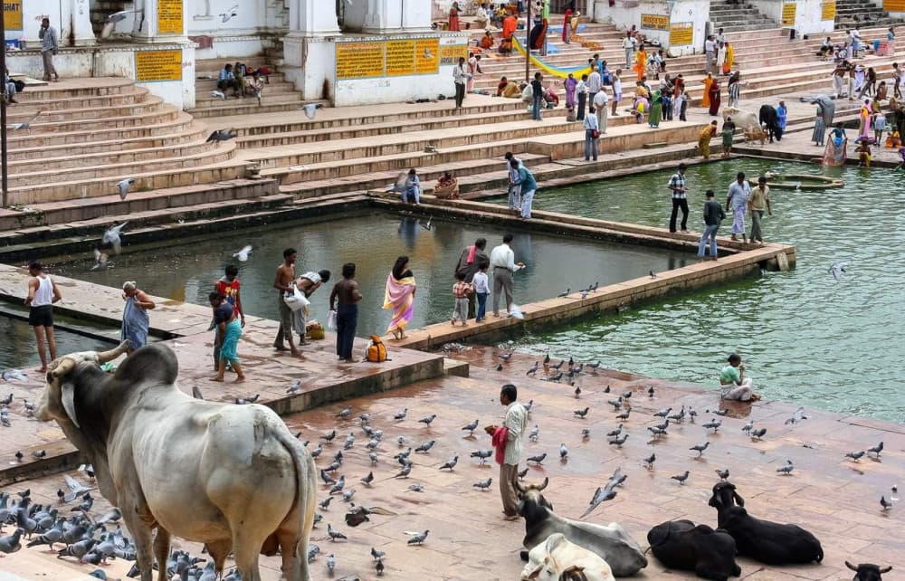 Thả Jaipur với pháo đài Chittor và Pushkar từ Udaipur 