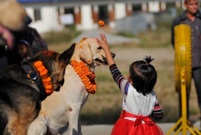 Kukur Tihar Nepal