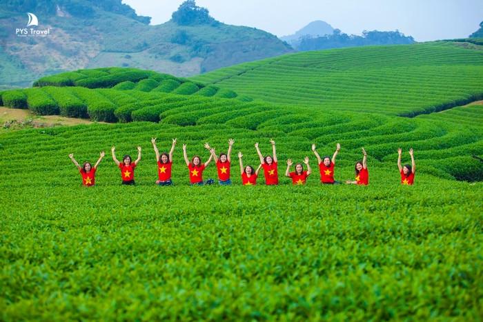Mộc Châu với những dãy chè bát ngát