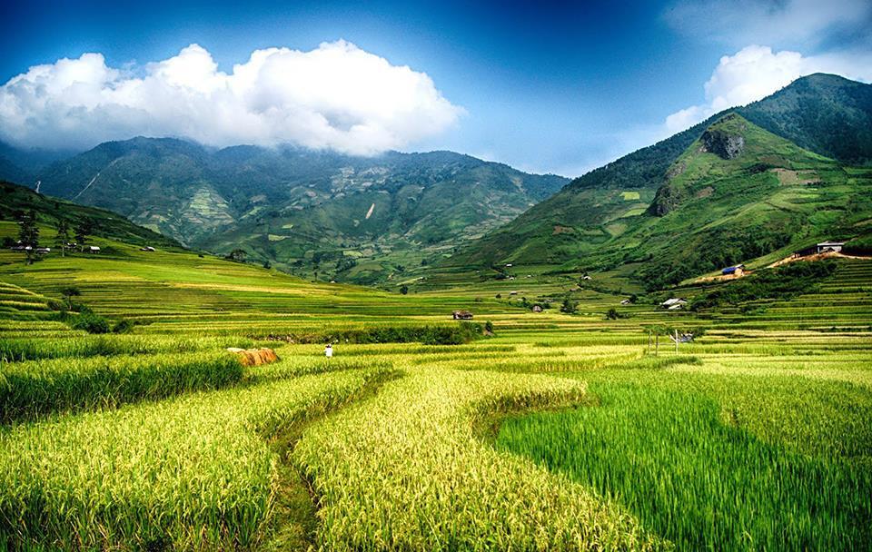 lai châu