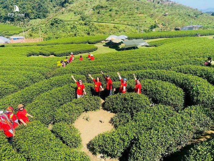 Đồi chè trái tim mộc châu