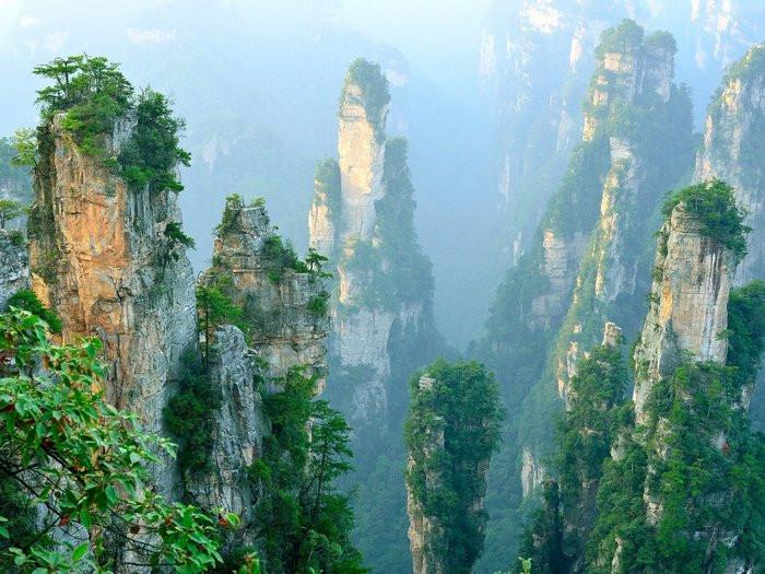 Tour Trương Gia Giới