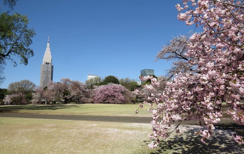 Công viên Shinjuku Gyoen