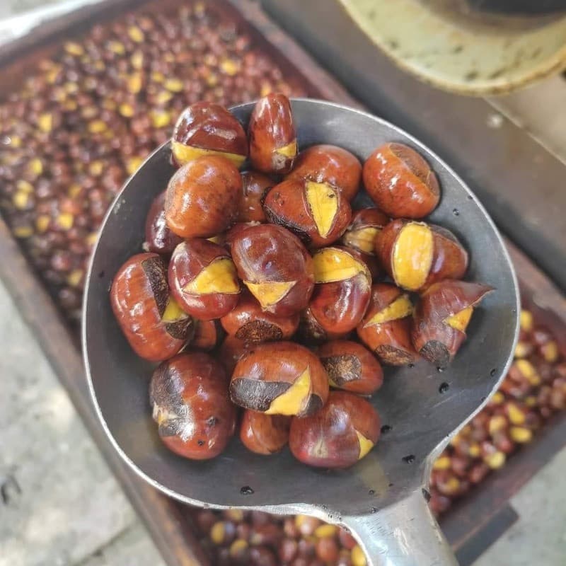 hạt dẻ rang