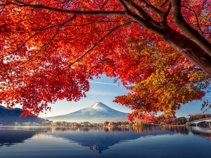lễ hội mùa thu Fuji Kawaguchiko