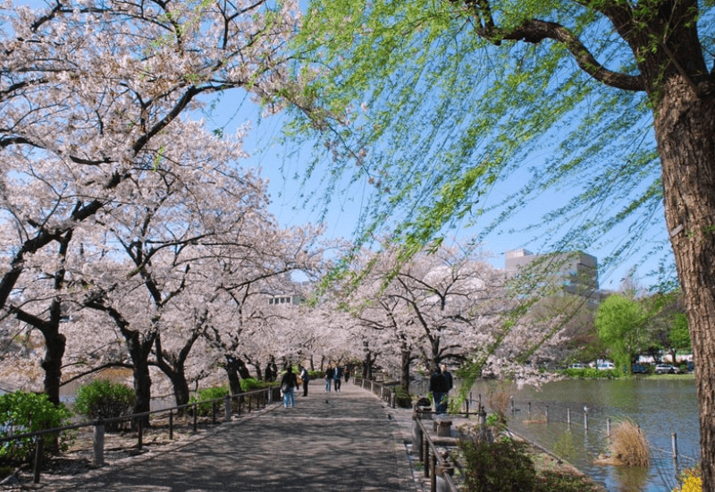 công viên ueno tokyo nhật bản