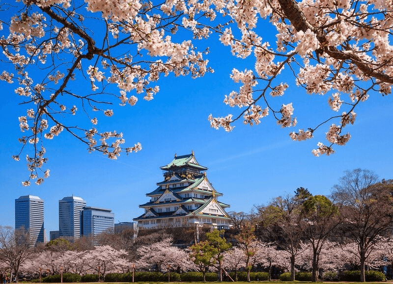 mùa xuân osaka