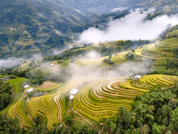 ruộng bậc thang hoàng su phì